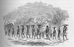 colonies slavery marching enslaved