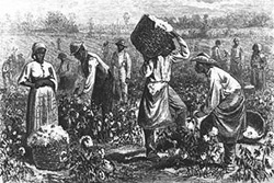 slaves and cotton 