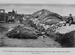Rath& Wright's buffalo hide yard in 1878, showing 40,000 buffalo hides, Dodge City, Kansas