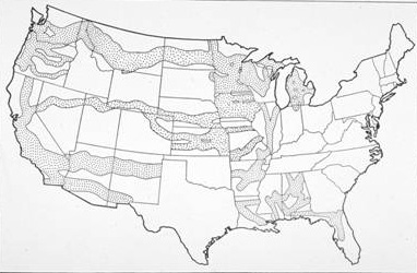This map depicts lands grants the federal government gave to railroads.